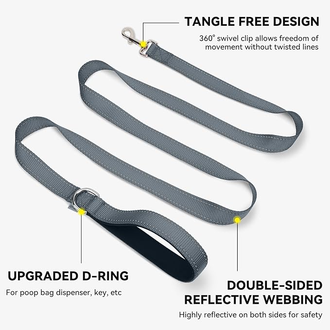 Joytale Reflective Dog Leash for Medium & Large Dogs, 4 FT x 1", Gray | Heavy Duty Nylon Webbing, Padded Handle for Comfort, Visible at Night, for Walking & Training