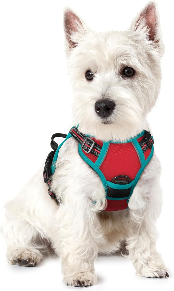 rabbitgoo Dog Harness, No Pull for Small Dogs with 2 Leash Clips, Pet Vest | No Choke with Handle, Adjustable Soft Padded, Reflective, Easy Control for Walking, Red & Teal, X-Small