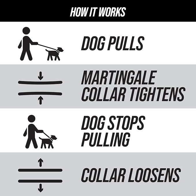 Leashboss Martingale Collar for Dogs | Reflective Nylon Dog Collar for Large Dogs, Medium and Small Dogs | No Pull Pet Training Collar Small | Quick Release Buckle, Adjustable Pet Collar