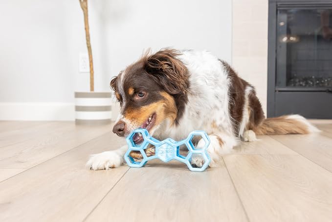 Chuckit! Holee Roller Dog Treat Puzzle Bone, Large, Blue – Interactive Treat & Chew Puzzle Toy for Dogs 60–100 lb – Durable Rubber Bone‑Shaped Fetch Toy for Mental Stimulation – Pack of 1