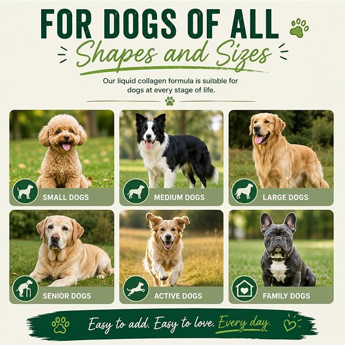 for Dogs, Hip & Joint, Skin & Coat Liquid Drops, 2 oz