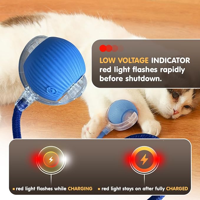 Rocfish Durable Interactive Cat Toys for Indoor Cats (Blue, 01) | Smart Automatic Cat Chase Ball Toy, Upgraded Speedy Tail Kitten Toy for Bored Indoor Adult Pets