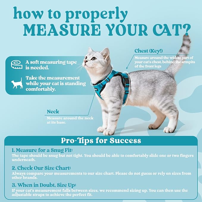 rabbitgoo Cat Harness and Leash Set, Escape Proof Vest, Teal | Soft Breathable Mesh, Easy Adjustable Fit, Snap Buckles, Sturdy Clip, Reflective Strips, for Small & Average Cats Walks, Xs