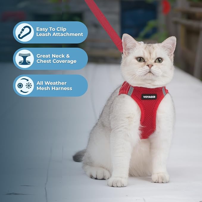 Voyager Step-in Pet Harness - All Weather Mesh, Adjustable Step in Harness for Cats and Dogs by Best Pet Supplies - 307S Red, XXXS
