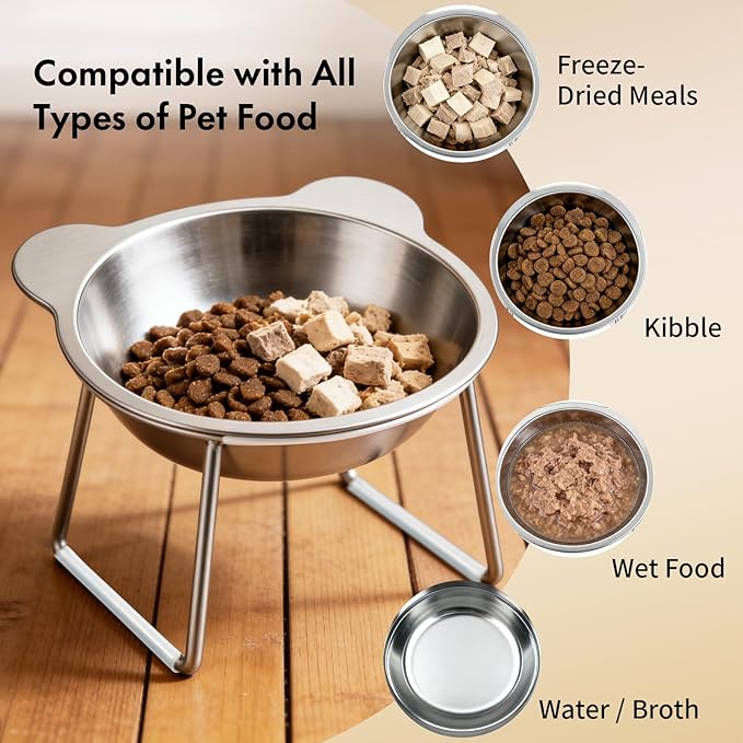 15° Tilted Elevated Cat Bowl - Silent Stainless Steel Raised Cat Dish with 1M DIY Noise-Canceling Strip - Anti-Vomiting & Neck Protection - 304 Food Grade Metal Cat Bowl, Dishwasher Safe