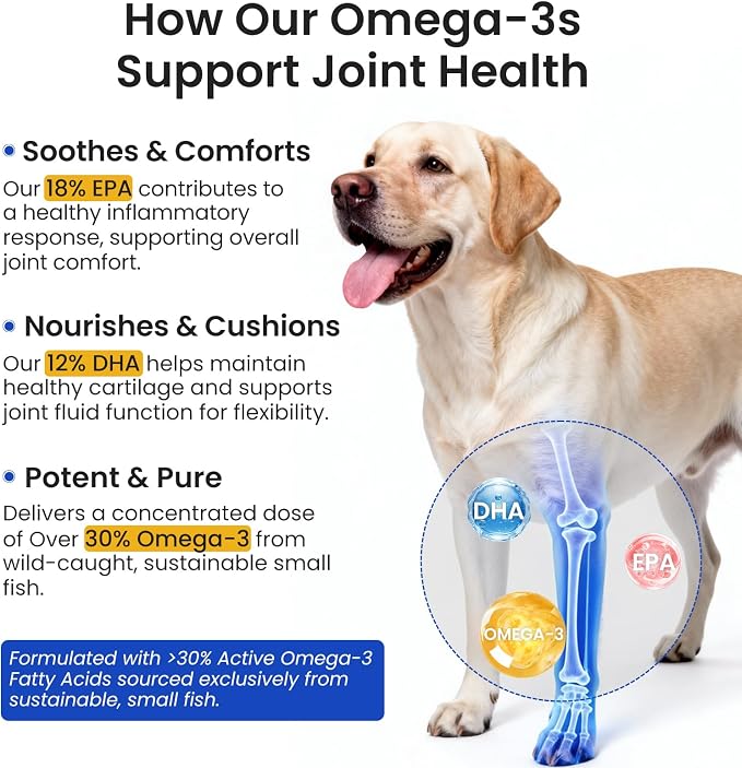 Omega 3 Fish Oil for Dogs & Cats, 300mg EPA+DHA, 16.9 oz