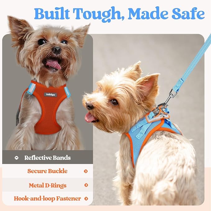 rabbitgoo Dog Harness Medium Sized and Leash Set, Step-in Puppy Pet Vest | Light, Soft, Breathable Air Mesh, Easy on and Remove with Hook & Loop, Secure Reflective for Walking, Blue & Orange XL