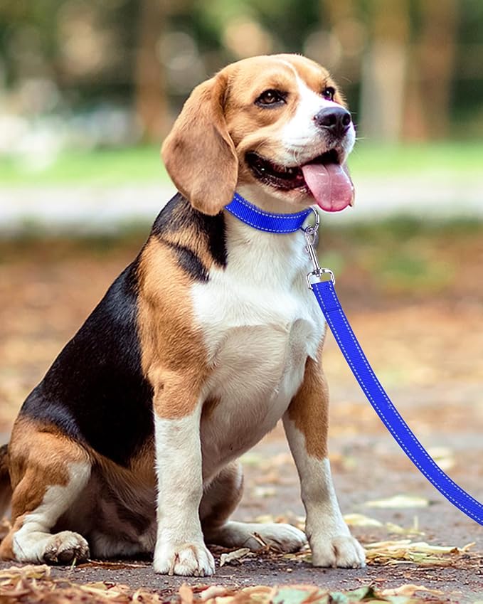 Taglory Reflective Dog Leash for Small Dogs, 3/4in x 5ft, Navy Blue | Ideal for Night Walking, Strong for Sudden Pulls, Lightweight & Gentle on the Neck, Soft Padded Handle