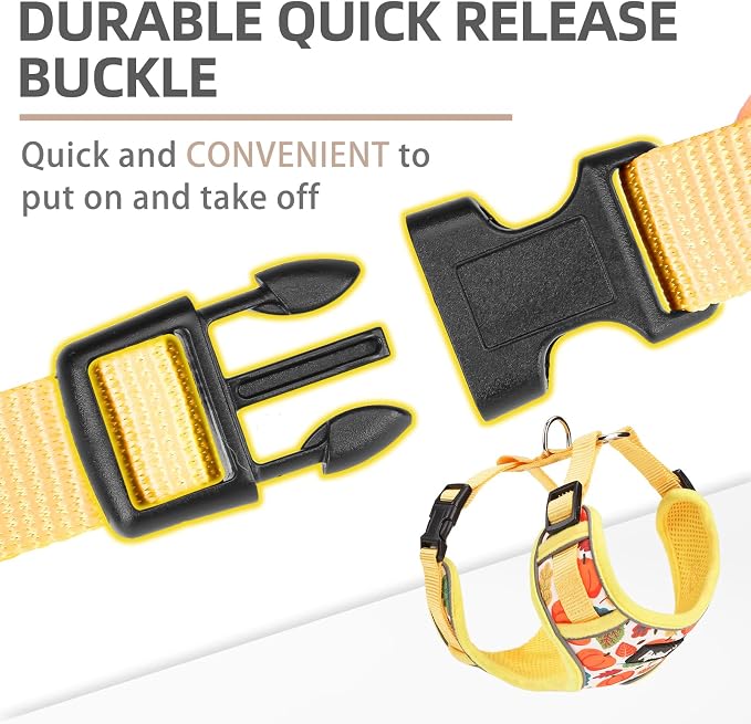 PUPTECK Thanksgiving Fall Small Dog Harness and Leash Set, No Pull Adjustable Puppy Cat Harness, Reflective Soft Mesh Pet Vest Small Sized, Leaves, M
