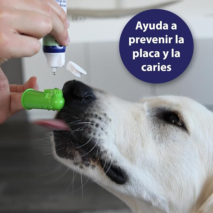 Canosept Dental Care Dog Toothbrush (3 Pieces) - Dog Finger Toothbrush Dog Teeth Cleaning Products - Plaque Remover for Dogs Teeth - Dog Breath freshener - Plaque Off for Dogs