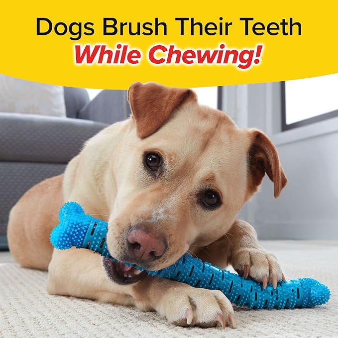 BulbHead BrushBone As Seen On TV Doggy Toothbrush Chew Toy, Plaque & Tartar Remover, Works 3 Ways to Clean While They Play, Invented by a Dentist, Add Peanut Butter or Cheese, Brush Bone