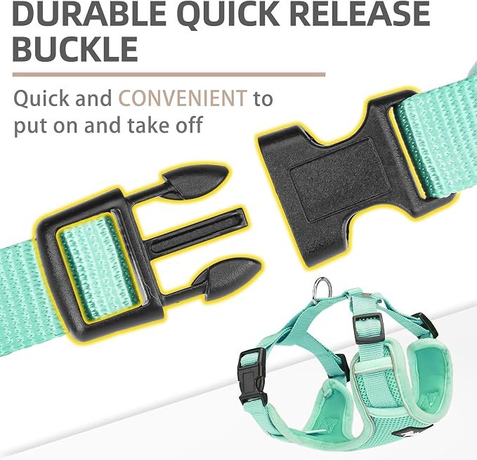 PUPTECK Small Dog Harness and Leash Set, No Pull Adjustable Puppy Cat Harness, Reflective Soft Mesh Pet Vest Small Sized, Green, L