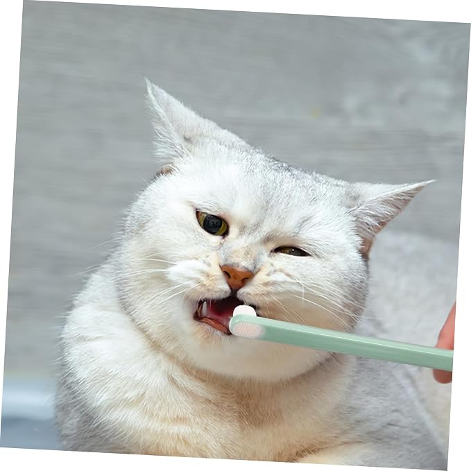 Happyyami 3pcs Pet Toothbrush Small Head Soft Bristles Gentle Dog Cat Oral Care Kit Handle for Precise Cleaning and Irritation Use