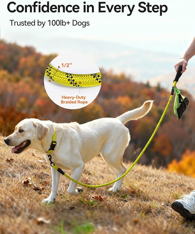 Joytale Rope Dog Leash for Medium Large Dogs, Padded Handle, 6FT, Yellow | Reinforced Nylon Webbing, Comfort Grip Eases Hand Strain, Swivel Clip Prevents Tangles, Visible at Night, for Outdoor Walks
