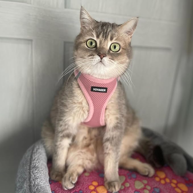 Voyager Step-in Air Dog Vest Harness - Pink, Medium | 16 - 18" in Chest, Reflective Bands, All Weather Breathable Air Mesh, Cats Compatible, Lightweight, Fast Drying