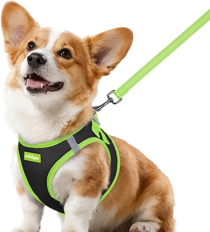 rabbitgoo Dog Harness Small Sized and Leash Set, Step in Soft Vest | Breathable Mesh, Easy Wear with Hook & Loop, Light and Reflective for Walking, Multi-colored, Black & Green, L