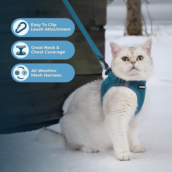 Voyager Step-in Pet Harness - All Weather Mesh, Adjustable Step in Harness for Cats and Dogs by Best Pet Supplies - 307S Turquoise, M