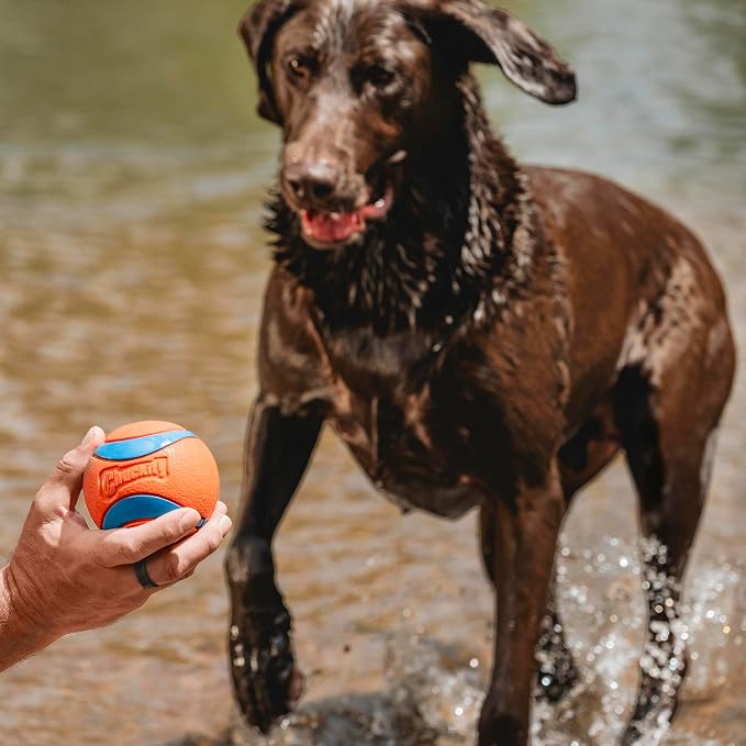 Chuckit! Ultra Ball Dog Toy, Size XXL, 4-in Diameter, for Dogs 100+lbs | Extra-Thick Rubber Core Delivers High Bounce and Buoyancy, Floats in Water and Is Compatible with Chuckit! Launchers