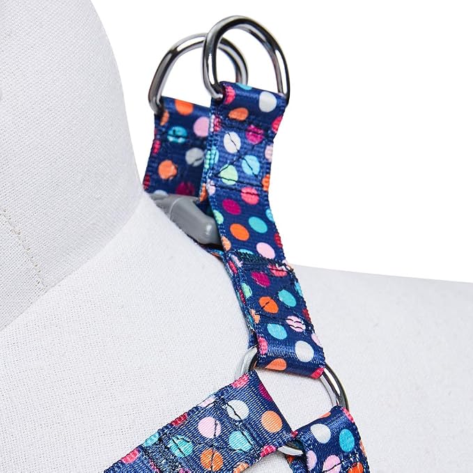 Blueberry Pet Essentials Step-in Rainbow Polka Dots Dog Harness, Chest Girth 16.5" - 21.5", Small, Adjustable Harnesses for Dogs