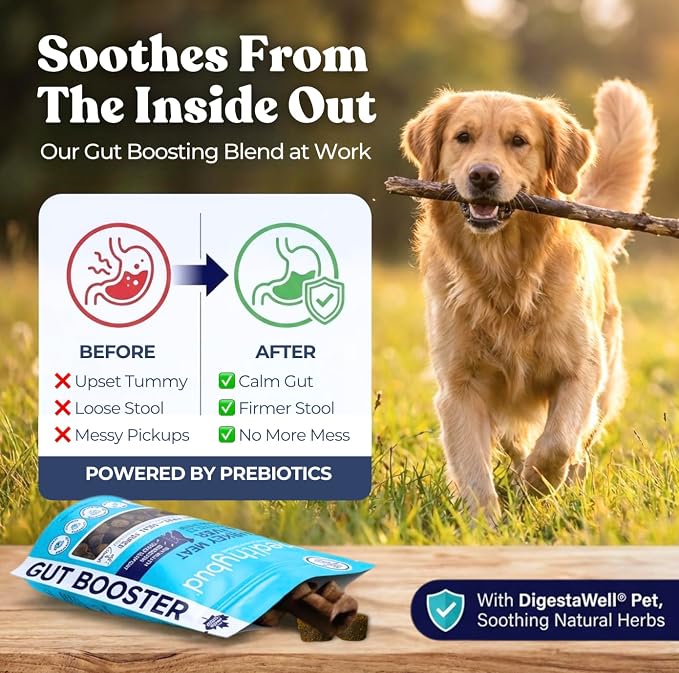 Healthybud Dog Probiotic Chews – Digestive & Gut Health Support – Prebiotic, Fiber, Pumpkin & Sweet Potato – Stool Hardener & Sensitive Stomach Relief – Made in Canada (4.6oz)