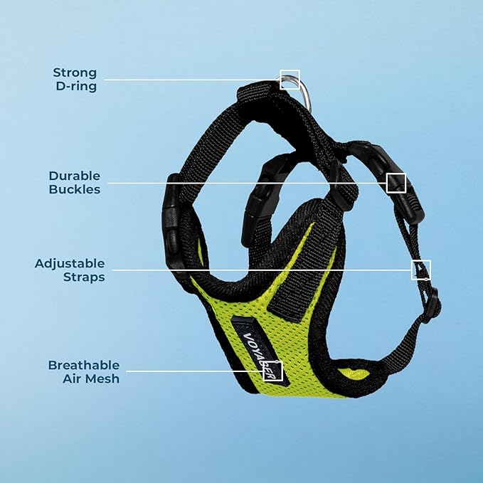 Voyager Step-in Lock Dog Harness - Lime Green/Black Trim, Small | 15 - 18" in Chest, Adjustable, Breathable Air Mesh, Lightweight for Daily Walks, Strong Clips, Heavy Duty D-Ring
