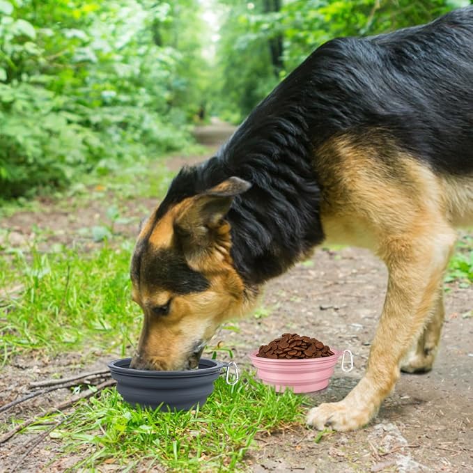 Kytely Collapsible Dog Bowls, X-Large 1500ml, 2 Pack, Pink & Grey