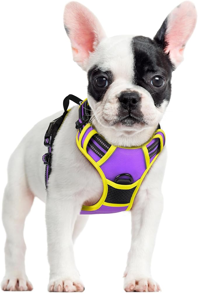 rabbitgoo Dog Harness, No Pull for Small Dogs with 2 Leash Clips, Pet Vest | No Choke with Handle, Adjustable Soft Padded, Reflective, Easy Control for Walking, Purple & Yellow, Small
