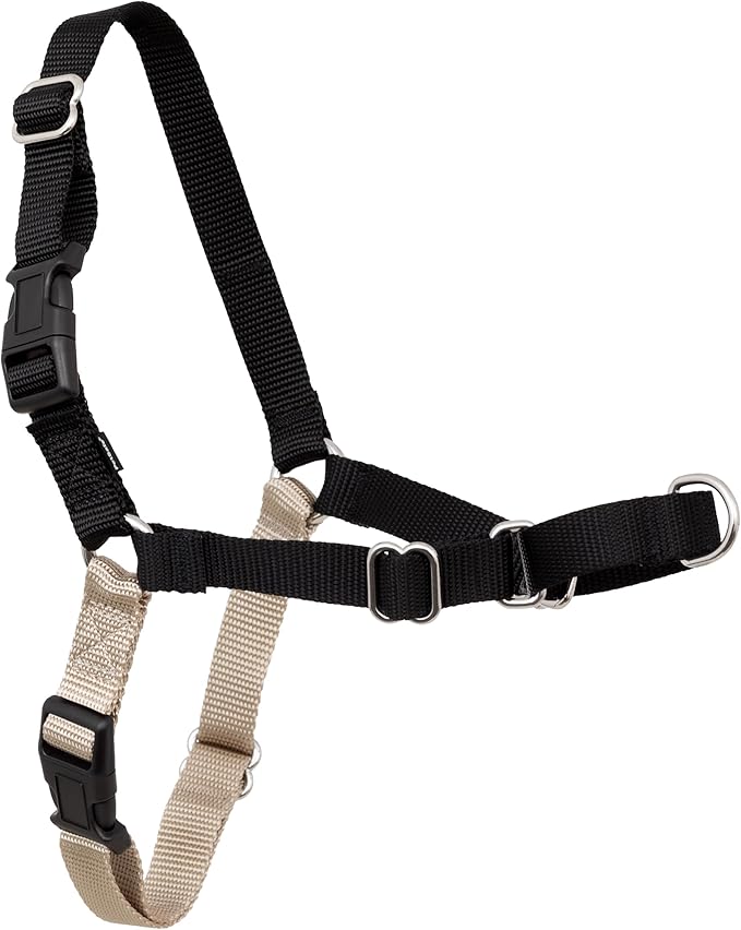 PetSafe Easy Walk No-Pull Dog Harness - Ultimate Harness to Help Stop Pulling - Pull-Free Walks - Take Control & Teach Better Leash Manners - Patented Martingale Loop Design - Black, Petite