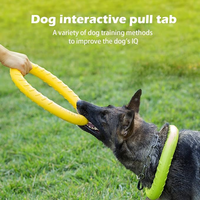XL Indestructible Dog Flying Disc, Medium/Large, 12in