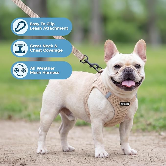 Best Pet Supplies Voyager Step-in Air All Weather Mesh Harness and Reflective Dog 5ft Leash Combo with Neoprene Handle, for Small, Medium and Large Breed Puppies - Khaki, XXS