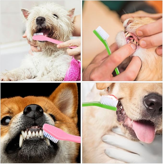 jojofuny 12pcs Dual-Head Dog Toothbrushes with Soft Bristles Large Size Pet Oral Cleaning Brush for Dogs and Puppies Dental Care Kit