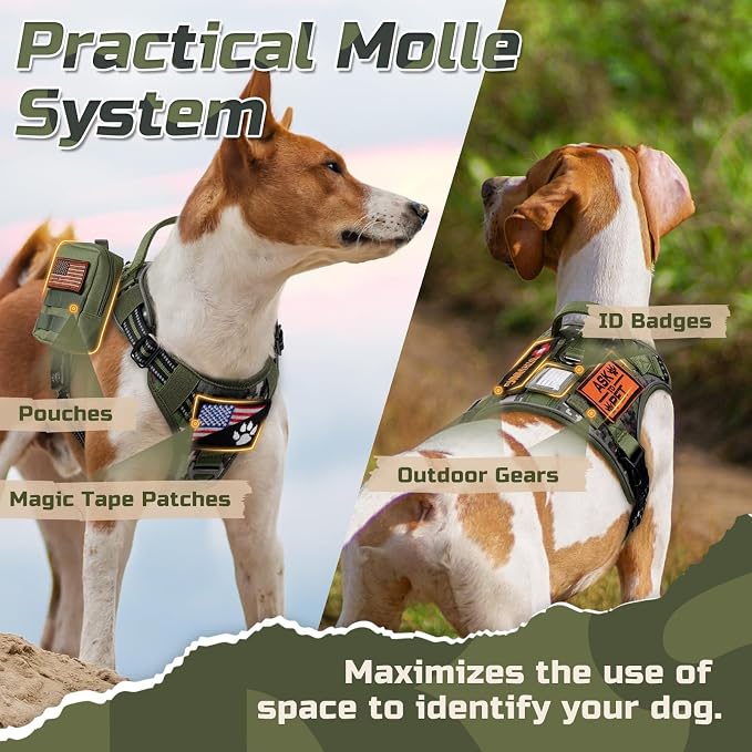 rabbitgoo Tactical Dog Harness for X-Large, No Pull Military Service Vest | Molle & Handle, Heavy Duty, Adjustable, Reflective Straps, Easy Control for Training Walking, Green camo, X-Large
