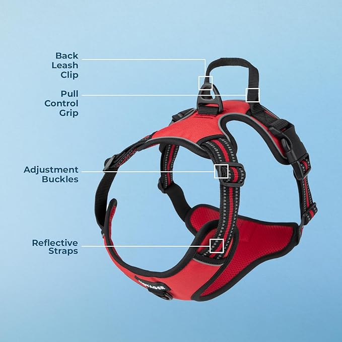 Voyager Dual Attachment No Pull Harness - Red, Small | 16 - 20" in Chest, No Pull Dog Harness, Fully Adjustable, 3M Reflective Technology, Front & Back D-Rings, Walking & Training