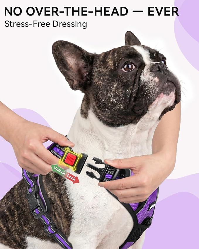 Joytale No Pull Dog Harness & Seat Belt, Easy On 3-Buckle, L, Purple | Front Clip Reduces Pulling, Escape-Resistant Design, Adjustable Fit, Soft Padding for Comfort, Secure Tether for Safer Travel