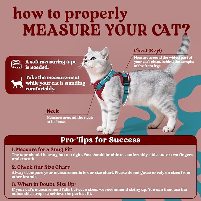 rabbitgoo Cat Harness and Leash Set, Escape Proof Vest, Red & Teal | Soft Breathable Mesh, Easy Adjustable Fit, Snap Buckles, Sturdy Clip, Reflective Strips, for Average Cats Walks, S