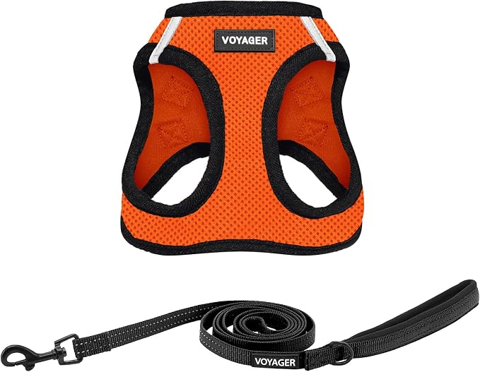 Voyager Step-in Air All Weather Mesh Harness and Reflective Dog 5 ft Leash Combo with Neoprene Handle, for Small, Medium and Large Breed Puppies by Best Pet Supplies - Orange, XX-Small
