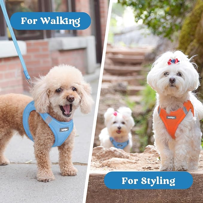 rabbitgoo Step-in Small Dog Harness, Puppy Vest for Medium Sized Pet | Easy Put on and off, Lightweight, Soft, Breathable Quick-Dry Air Mesh for Comfortable Secure Walking, Blue XXL