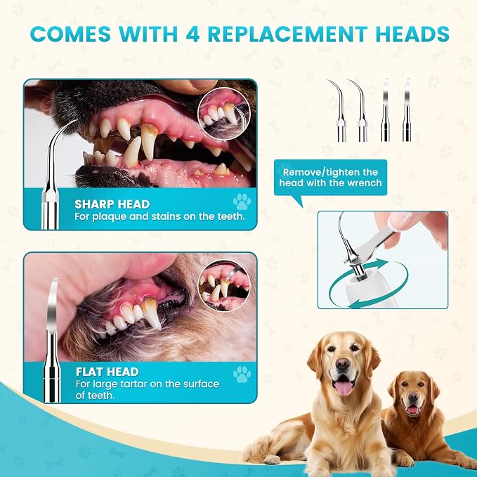 Dog Plaque Remover, Pet Tartar Remover for Teeth with LED Light & 5 Speed Modes, Dog Ultrasonic Tooth Cleaner, Tooth Brushing Kit for Teeth Stains for Dogs and Cats, Best Gift for Pet