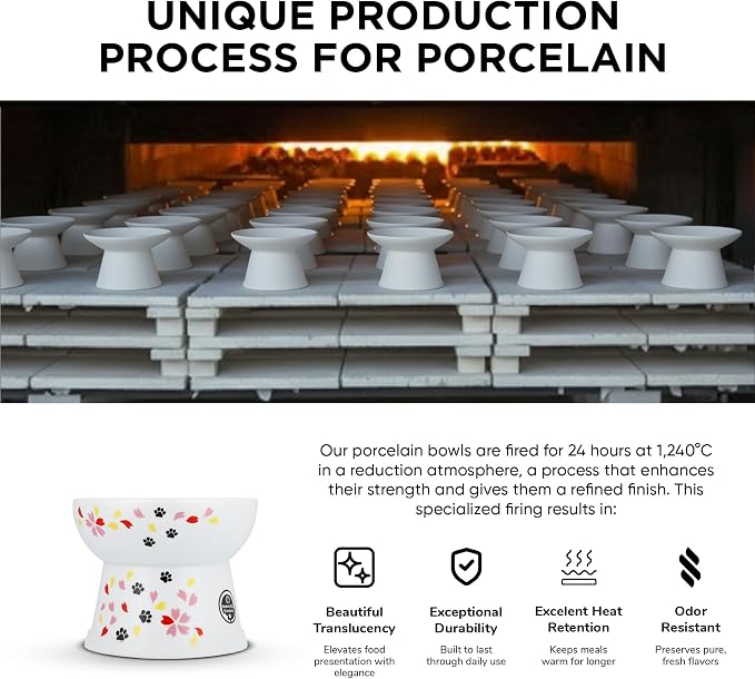 Necoichi Raised Cat Food Bowl – Ceramic Elevated Cat Bowl for Whisker & Neck Fatigue, Dishwasher Microwave Safe – Non-Slip & Anti Vomiting Ergonomic Design (Sakura Floral, Large, 2-Cup Capacity)