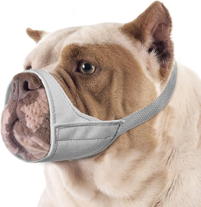 Fabric Muzzle for American Bully Boxer Puppy Short Snout Dog | Prevent Fierce Biting Chewing, Grooming Vet Visits Walking Nail Care Use, Allow Drinking Panting, Soft & Sturdy | Grey, L