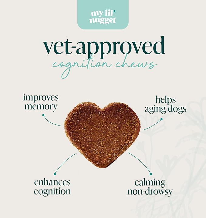 My Lil’ Nugget - Vet-Approved Mood & Cognition Chews for Dogs | All-Natural Dog Mental Health Support & Improve Memory | Lion’s Mane & Ashwagandha | Helps Puppy to Senior Dogs | 90 Salmon Flavor Chews