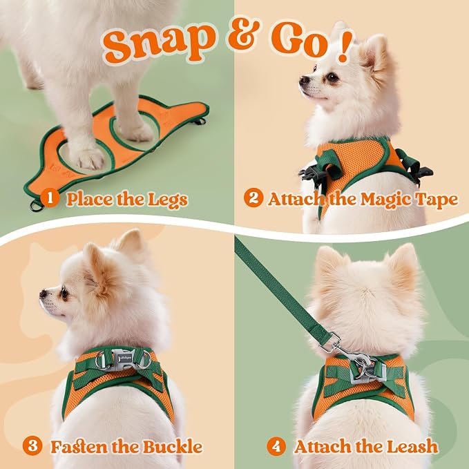 rabbitgoo Dog Harness Small Sized and Leash Set, Step in Soft Vest | Breathable Mesh, Easy Wear with Hook & Loop, Light and Reflective for Walking, Multi-colored, Orange & Dark Green, XXS