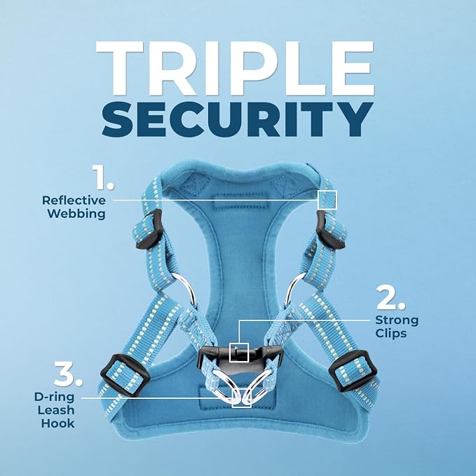 Best Pet Supplies Voyager Adjustable Step-in Flex Breathable Mesh Dog Harness for Small Medium Large Dogs Leash Set (Baby Blue), XL