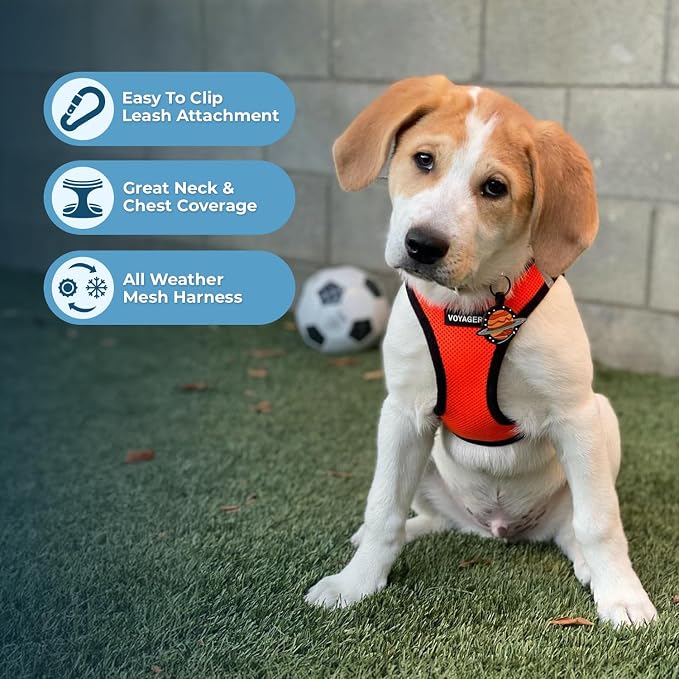 Voyager Step-in Air All Weather Mesh Harness and Reflective Dog 5 ft Leash Combo with Neoprene Handle, for Small, Medium and Large Breed Puppies by Best Pet Supplies - Orange, Medium