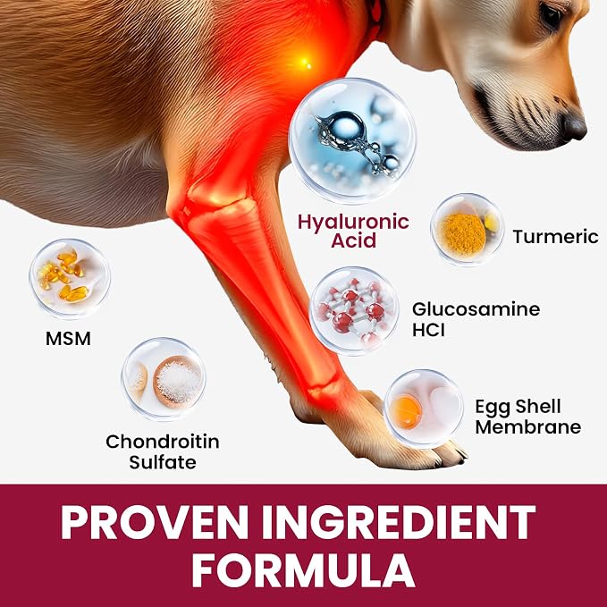 Glucosamine for Dogs - Hip and Joint Supplement Chews for Senior & Large Breed, Joint Supplement for Dogs with Chondroitin, Wuffe Joint Chews for Pain Relief - 60-Day Satisfaction Guarantee - 180 Ct