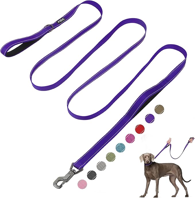 Fida 10ft Heavy Duty Dog Leash with 2 Comfortable Padded Handles, Traffic Handle & Advanced Easy Snap Hook, Reflective Walking Lead for Large, Medium & Small Breed Dogs, Purple
