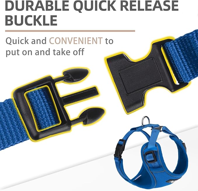 PUPTECK Small Dog Harness and Leash Set, No Pull Adjustable Puppy Cat Harness, Reflective Soft Mesh Pet Vest Small Sized, Blue, M