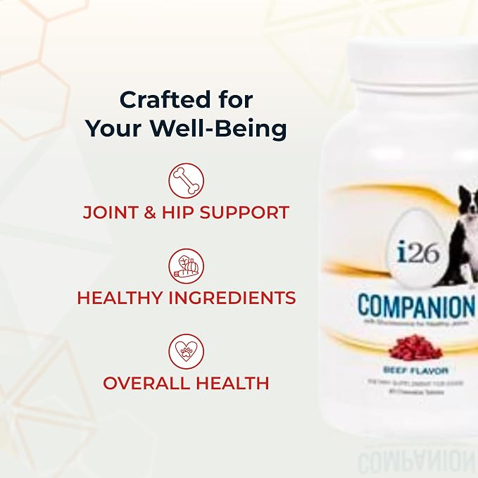 VitaminCity i26 Companion Dog Chewables with Glucosamine, Beef, 60 Tabs
