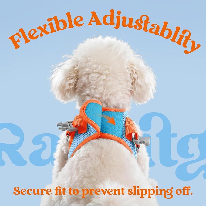 rabbitgoo Dog Harness Small Sized and Leash Set, Step in Soft Vest | Breathable Mesh, Easy Wear with Hook & Loop, Light and Reflective for Walking, Multi-colored, Blue & Orange, XXS