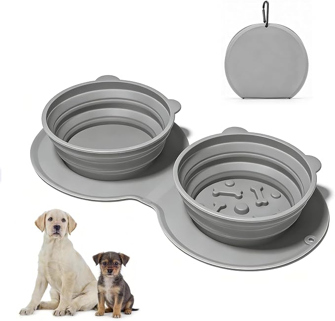 Premium Silicone Collapsible Dog Bowl with Carabiner Clip, 2-in-1